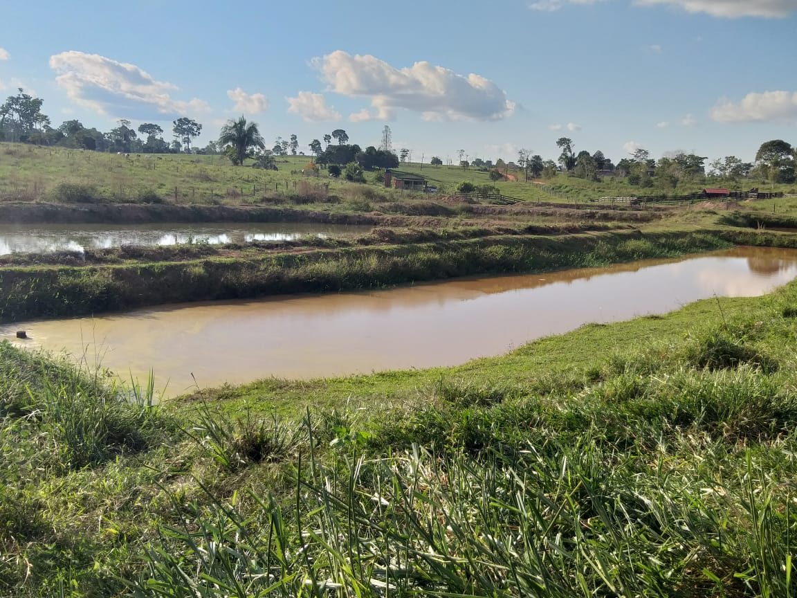 Tanques para criação de peixes